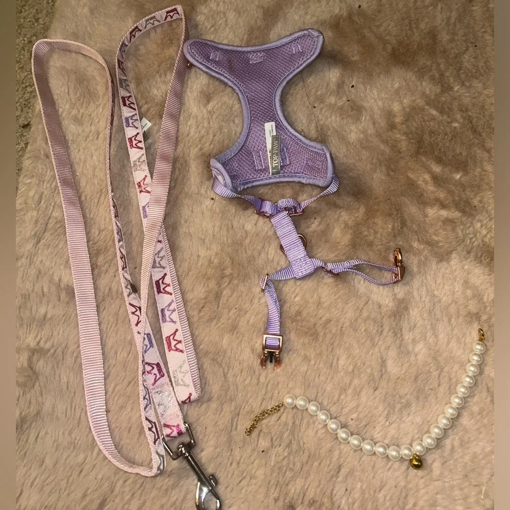 Leash harness collar combo
